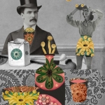 Still-with-Sea-Oddities