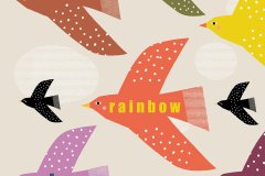 the-rainbow-sky