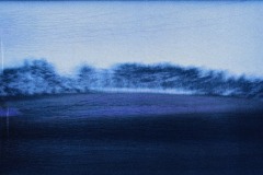 1_Lee-Anne_Schmidt_MOVING_TREES