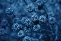 1_Lee-Anne_Schmidt_OUTBACK_BLUE